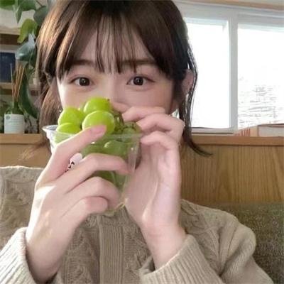 鹡鸰女神第一季